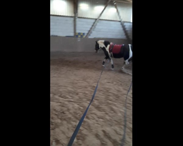 Video of Max