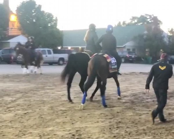 Video of Enable xx