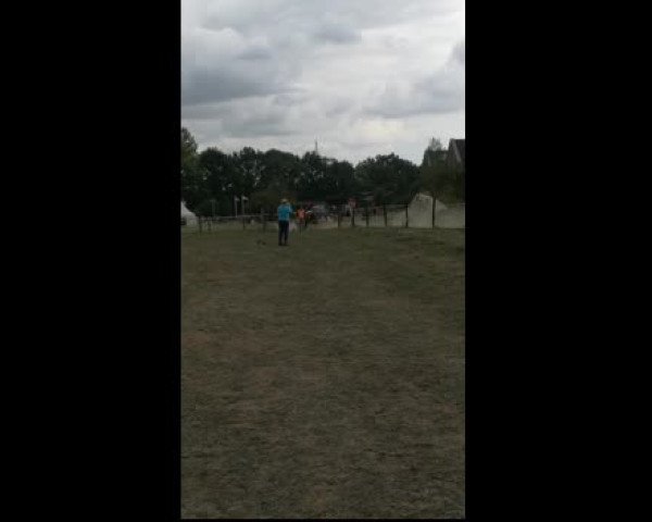 Video of All Future
