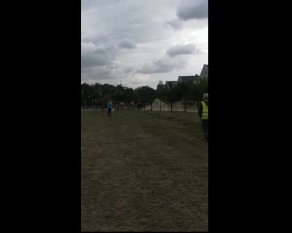 Video of All Future