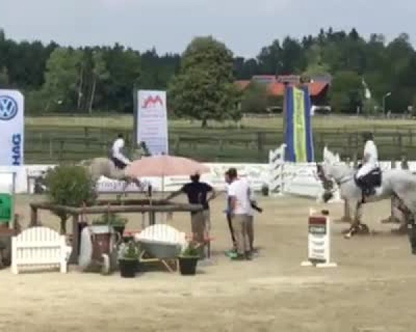 Reitturnier Kirchstockach 2018