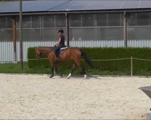 Video of Cocada Di Coco