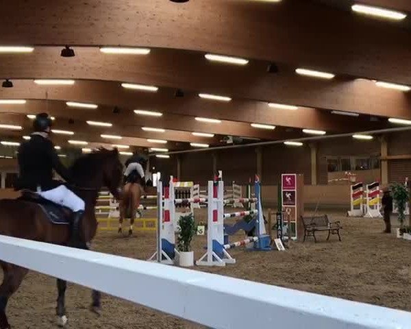 Video de Levi 22