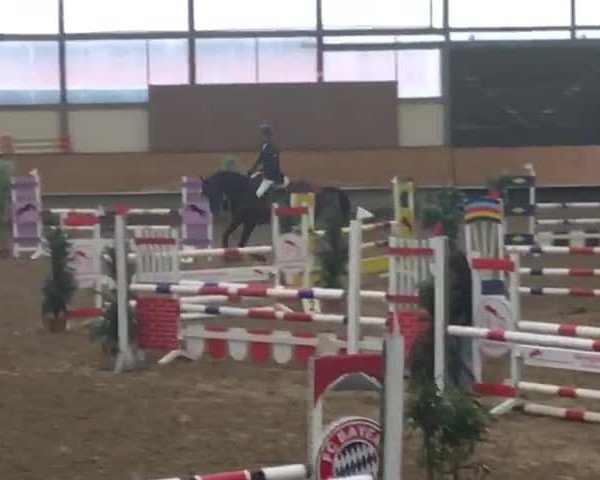 Reitturnier Alt Marl 2018
