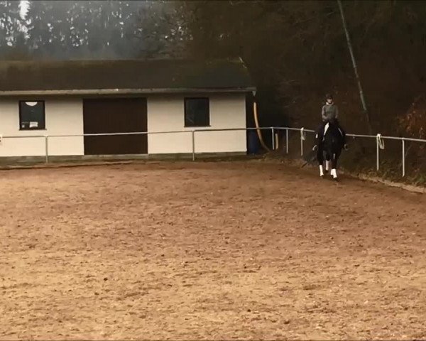 Video of Romantika 117