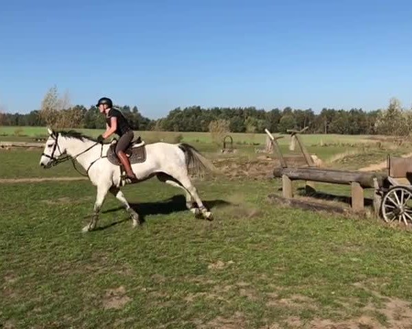 Video of Cornet's Fleur de Sel