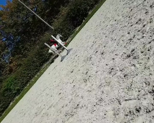 Video of Ragtime L