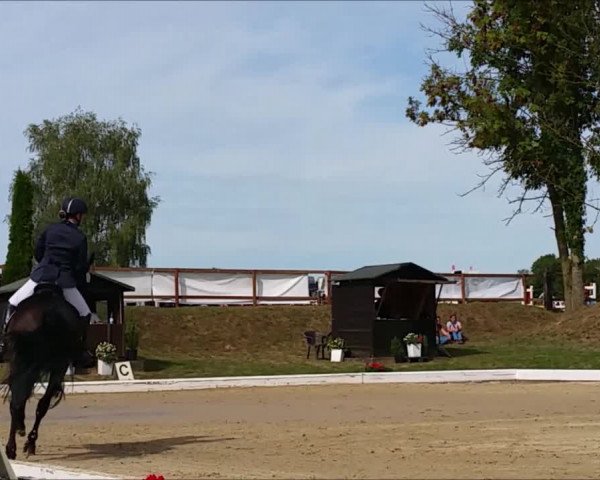 Reitturnier Lohmar-Hausdorp 2018
