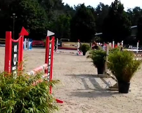 Video of Balouna S