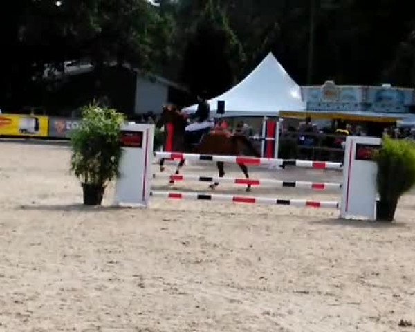 Video of Balouna S
