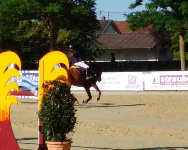 Video of Capucino 6