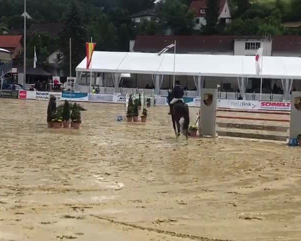 FEI Reitturnier Spangenberg (GER) 2018