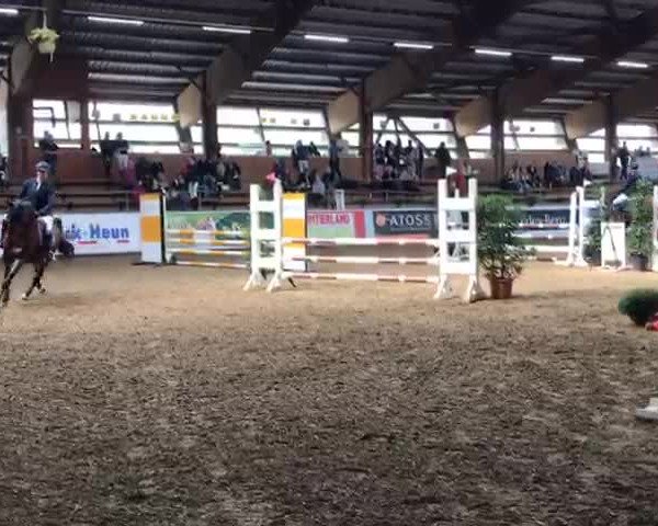 Video von Samson 529