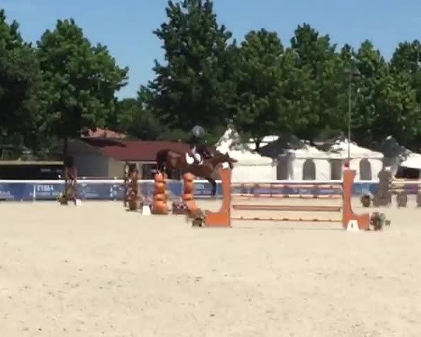 FEI Reitturnier Busto Arsizio (ITA) 2018