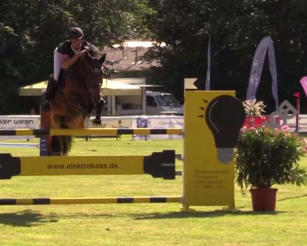 broodmare Bentinov (KWPN (Royal Dutch Sporthorse), 2006, from Ustinov)