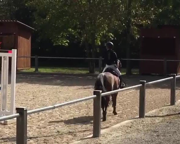 Reitturnier Brunnthal 2018