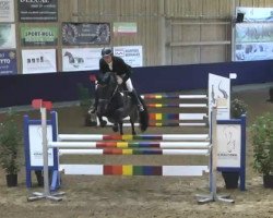 jumper Cachonne (Holsteiner, 2009, from Cachas)