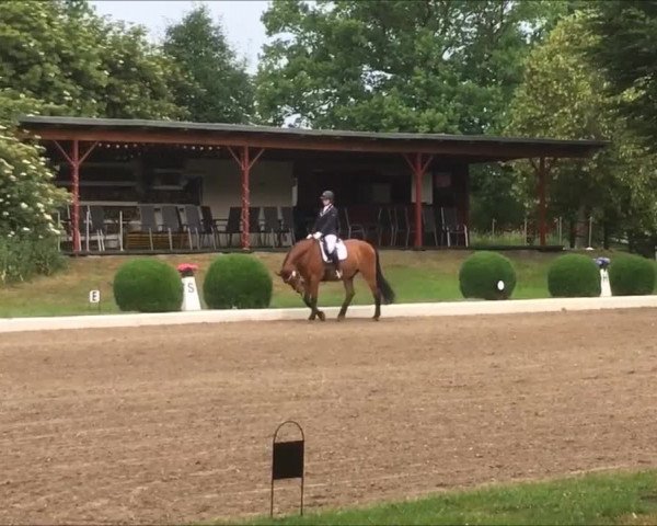 Reitturnier Kayhude 2018