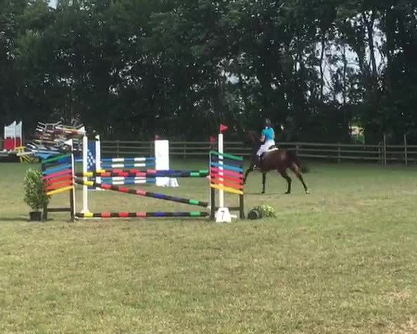 Video of Quebelle de la cour