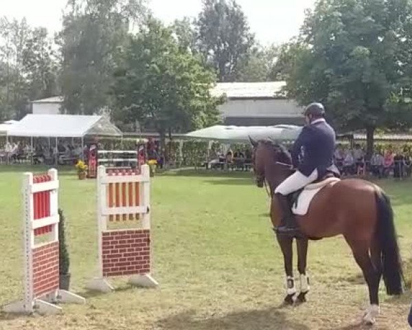 Video von Unique