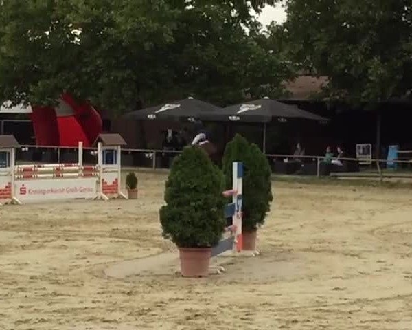 Reitturnier Trebur/Gut Berlenhof 2018