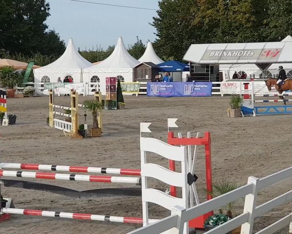 Reitturnier Unna-Massen 2018