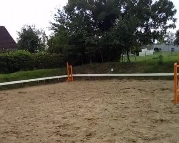 Video von Chakira