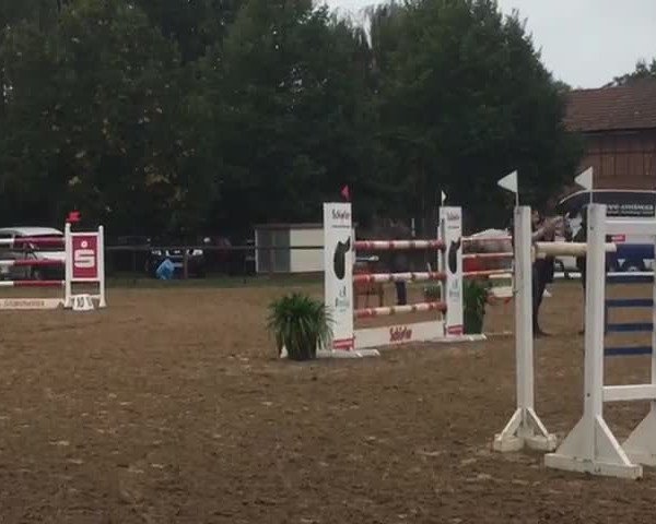 Reitturnier Buttstädt 2018