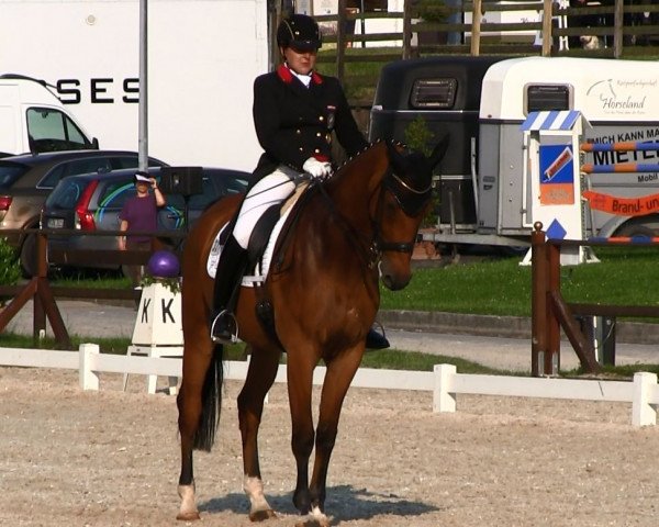 dressage horse Urban Legend 3 (KWPN (Royal Dutch Sporthorse), 2001, from Inspekteur)