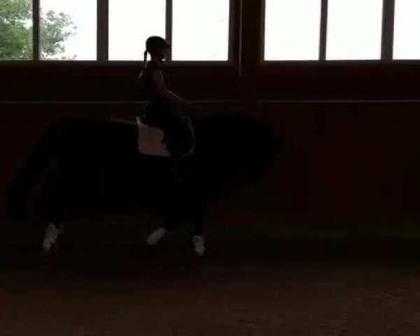 Video von Bemossed