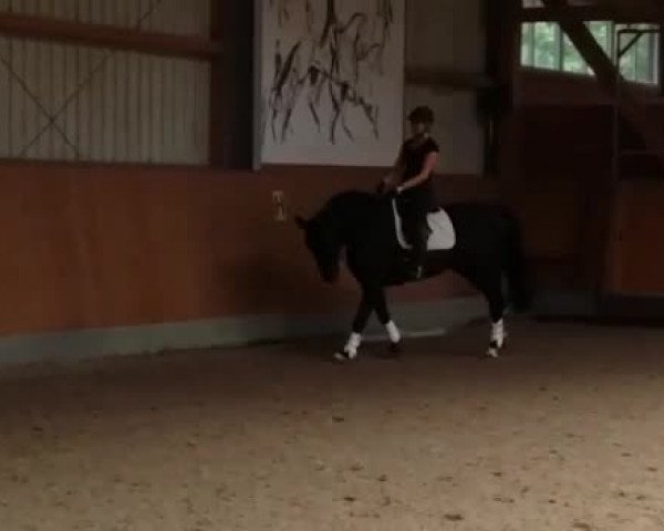 Video von Bemossed