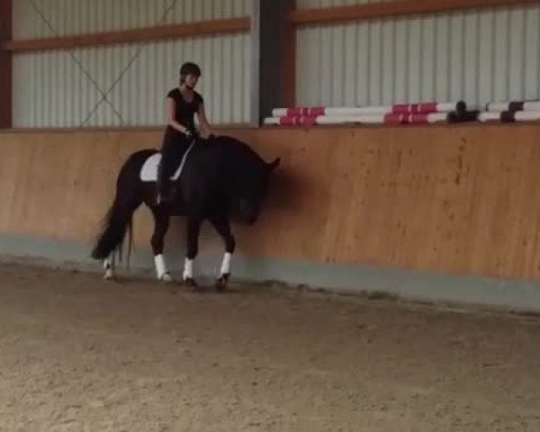 Video von Bemossed