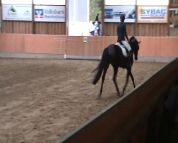 Reitturnier Mayen 2018