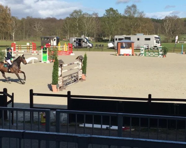 Reitturnier Luhmühlen 2017