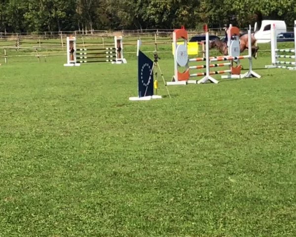 Reitturnier Landsberg am Lech 2018