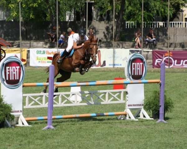 horse Babér (Hungarian Warmblood, 1999, from Koppány)