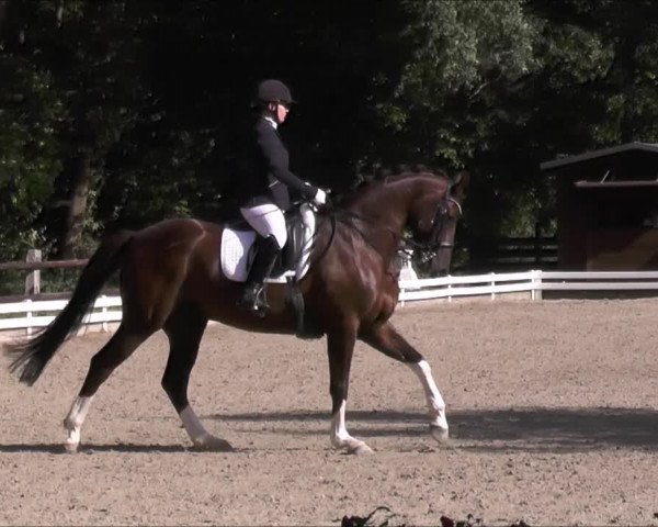 Reitturnier Krefeld 2018