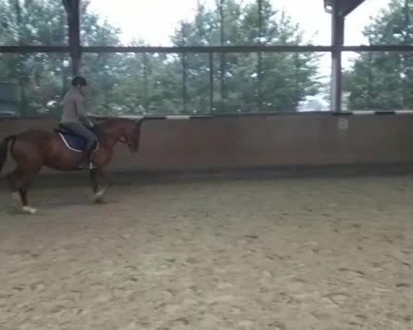 Video von Fleur