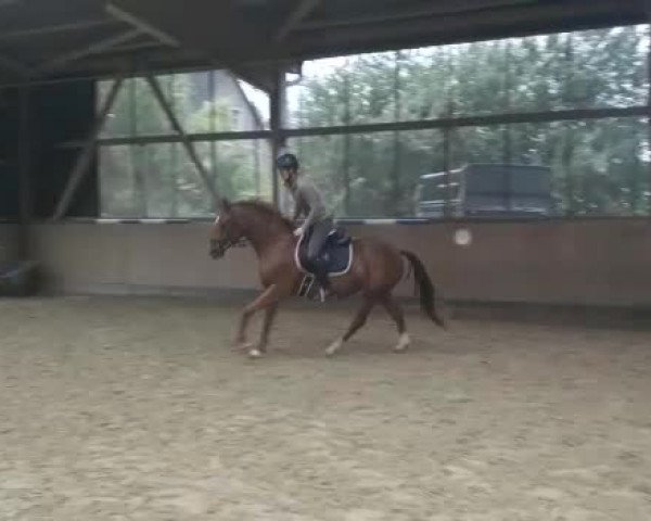 Video von Fleur