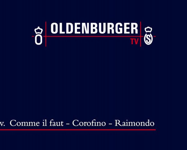 Video von Commero