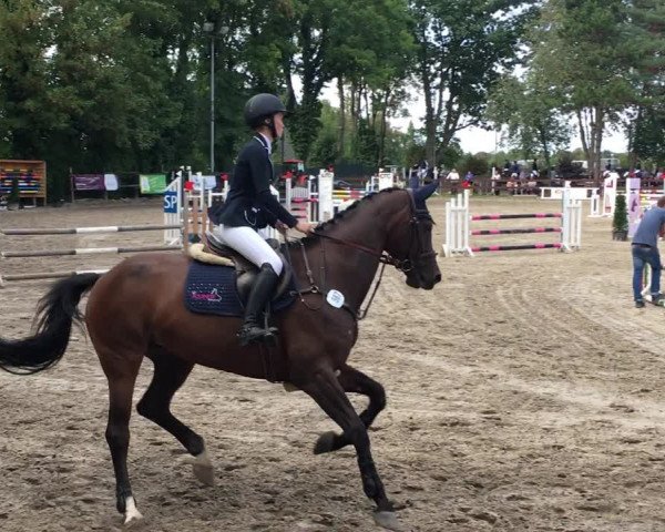 Video of Melitta 10