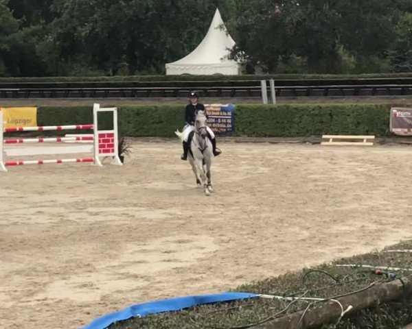 Reitturnier Taucha/ Grassdorf 2018