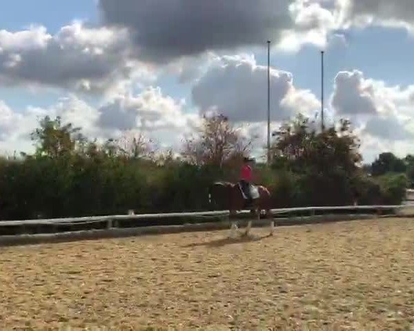 Video of Full of Joy 2