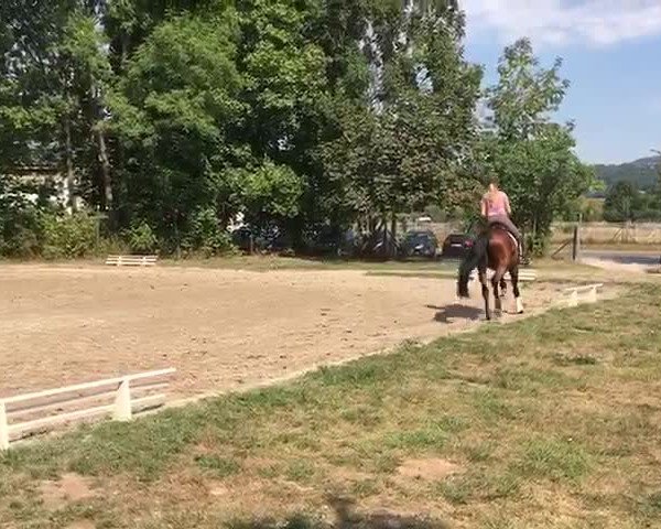 Video of Loreley W