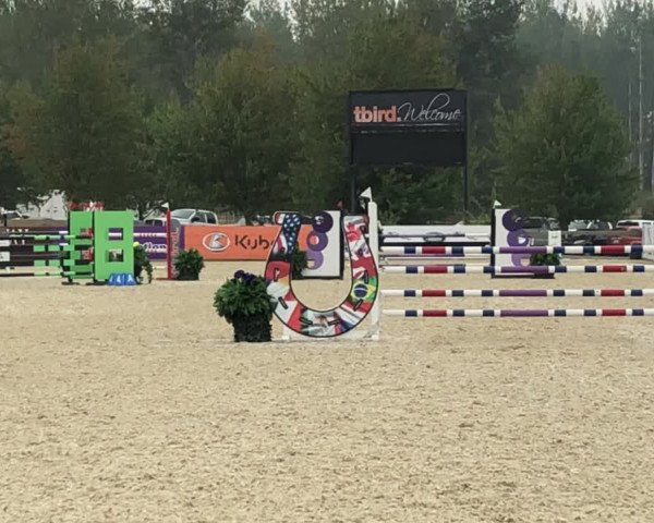 Video von Amy 281