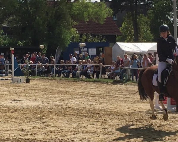 Reitturnier Leverkusen-Rheindorf 2018