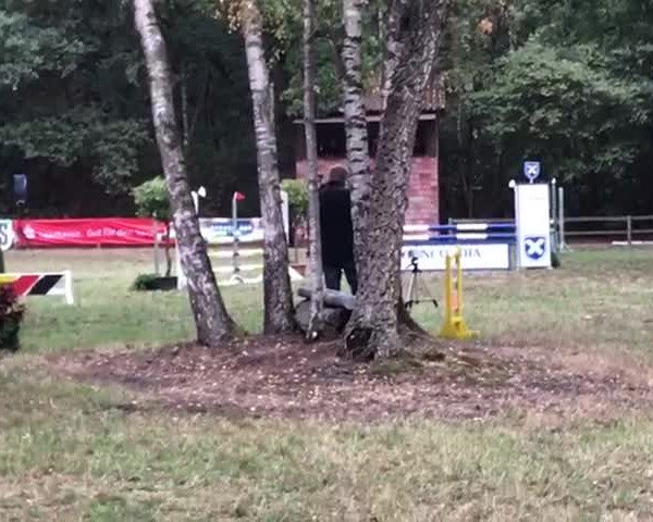 Video von Caydence