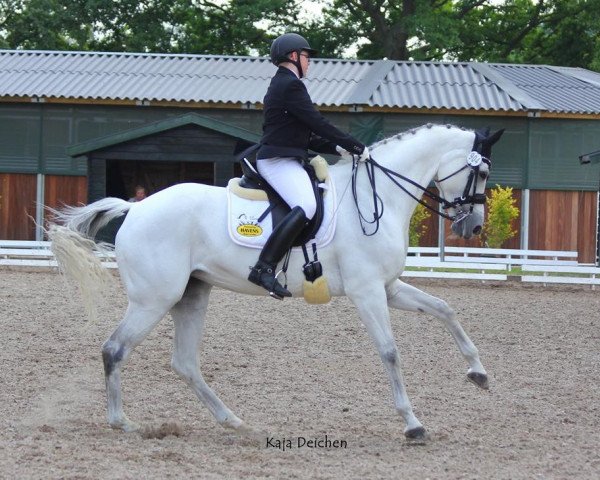 broodmare Unabellarosa (KWPN (Royal Dutch Sporthorse), 2001, from Inspekteur)