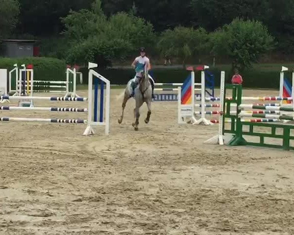 Video of Chapoclack