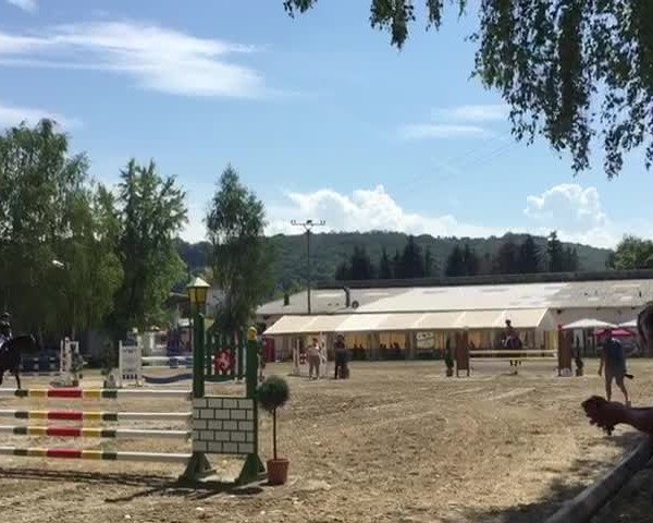 Video of La Belle de Noir 2